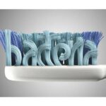 Cleaning Up the History of Toothbrush